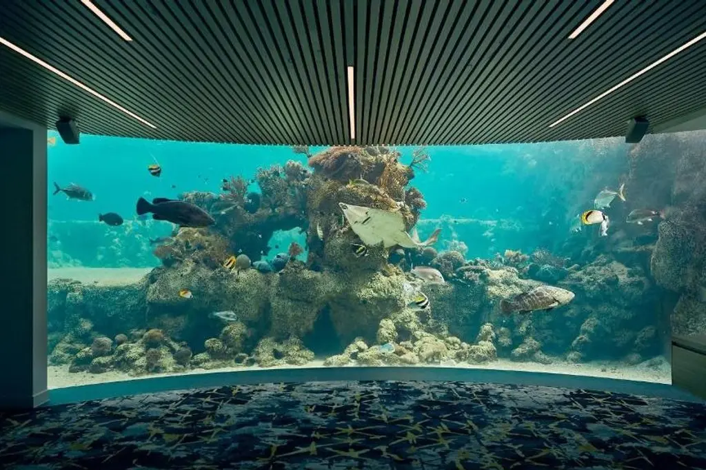 Daydream Island Resort image 6